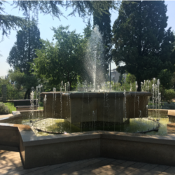 In Defense of Podgorica