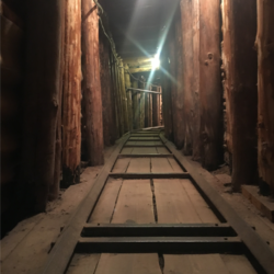 Giving Up Control: Sarajevo Funky Tours’ “Total Siege Tour”