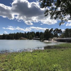 Helsinki’s Island of Seurasaari
