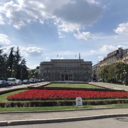 Stop and Smell the Roses in Belgrade