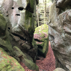 From Echternach to Consdorf on the Müllerthal Trail