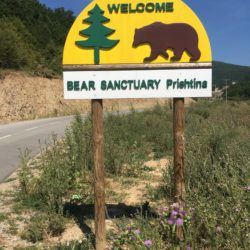 Four Paws’ Bear Sanctuary Prishtina