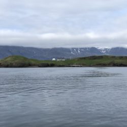 A Ferry Ride to Viðey Island