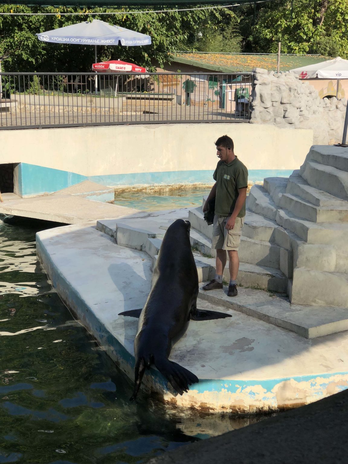 An Afternoon at the Skopje Zoo | World Capital Confidential