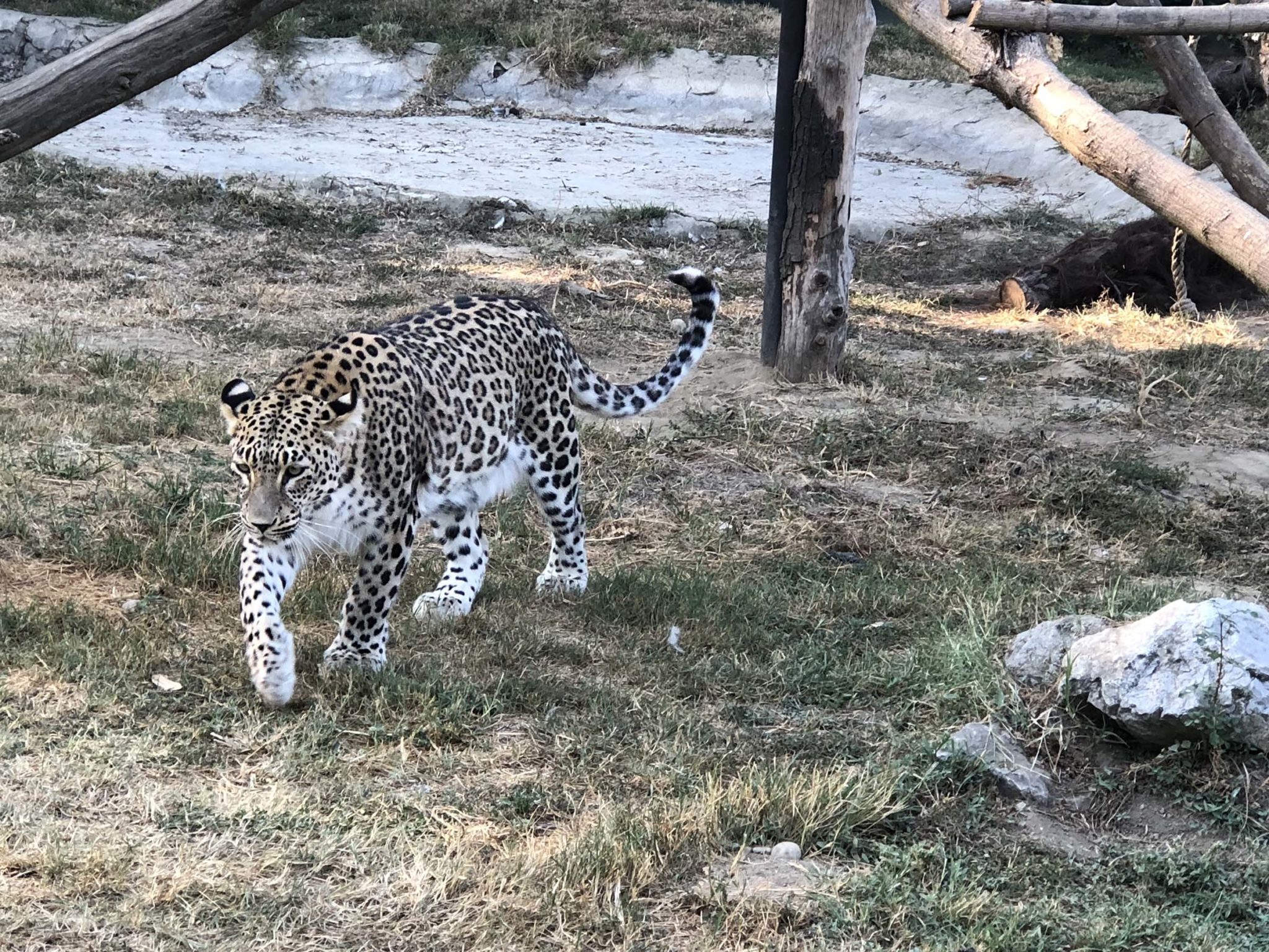 An Afternoon at the Skopje Zoo World Capital Confidential