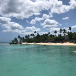 A Day Trip Around Tobago with Leo & Reine