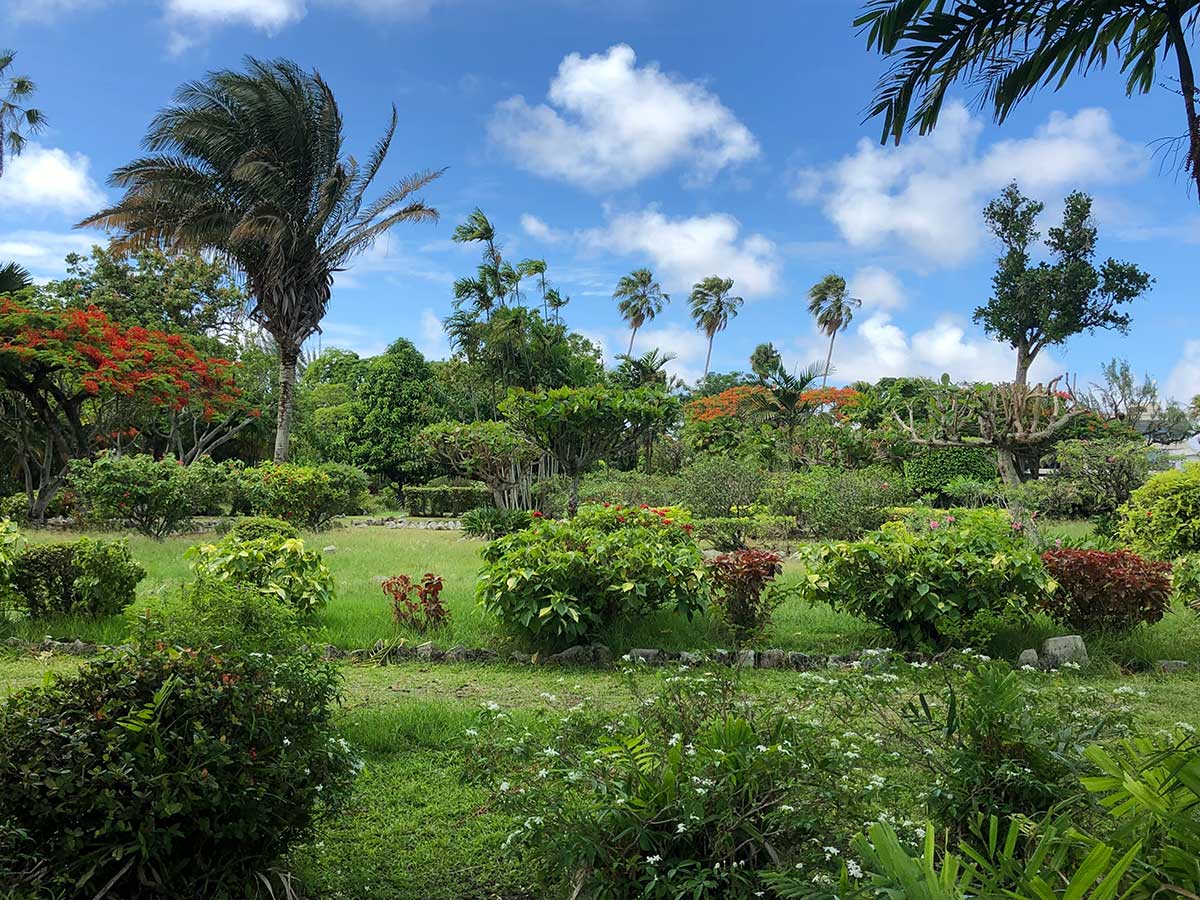 Lush gardens shine under the blue skies