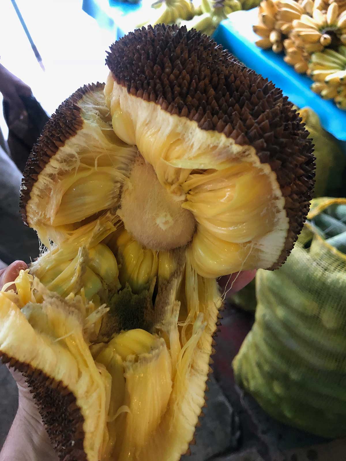 The yellow inside of a fruit