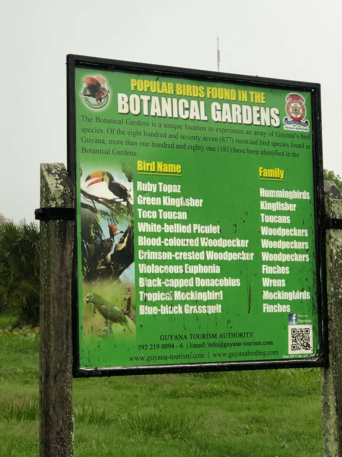 A sign that tells about the popular birds at the botanical gardens