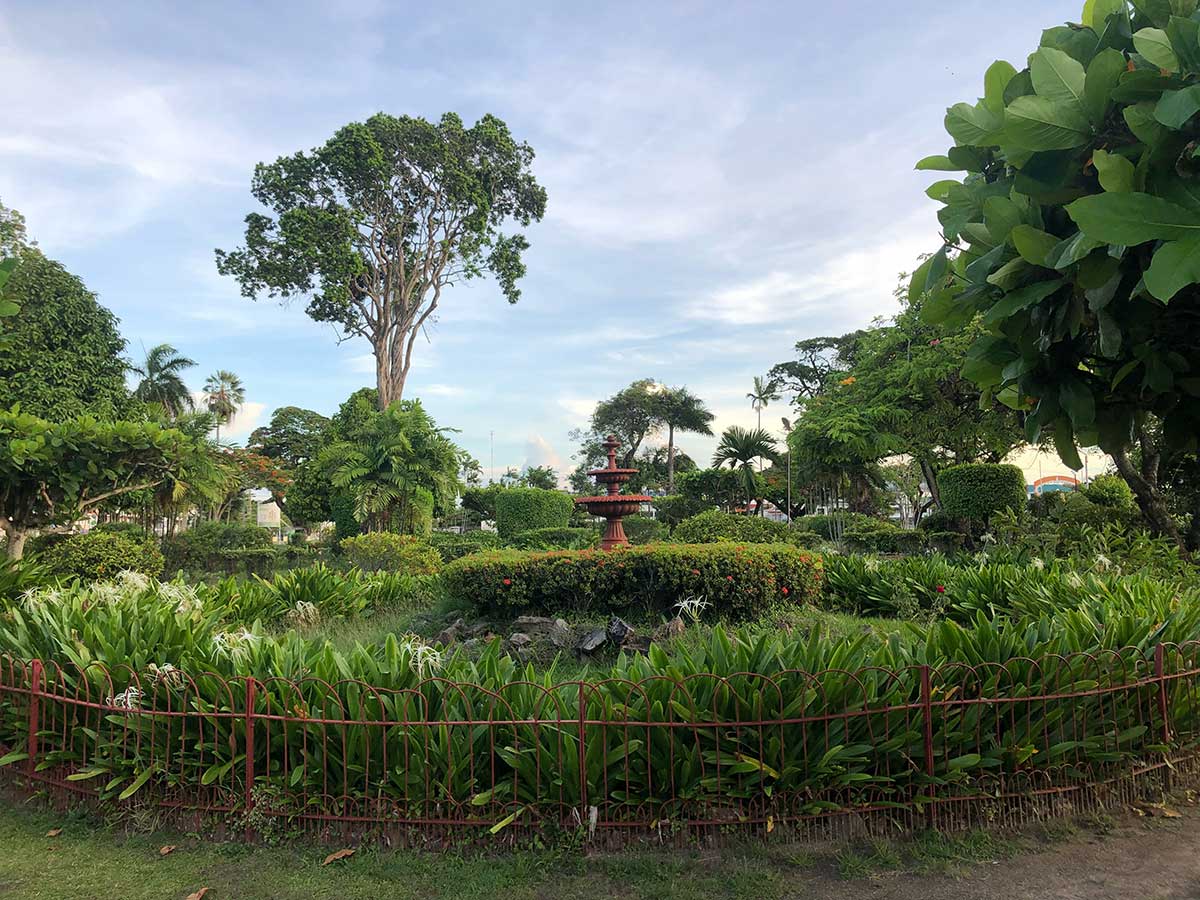 A lush green garden with a water fountain in the center